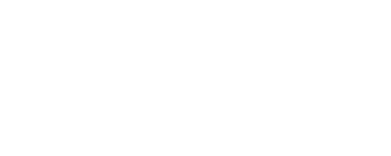 DNVR Sports Network logo