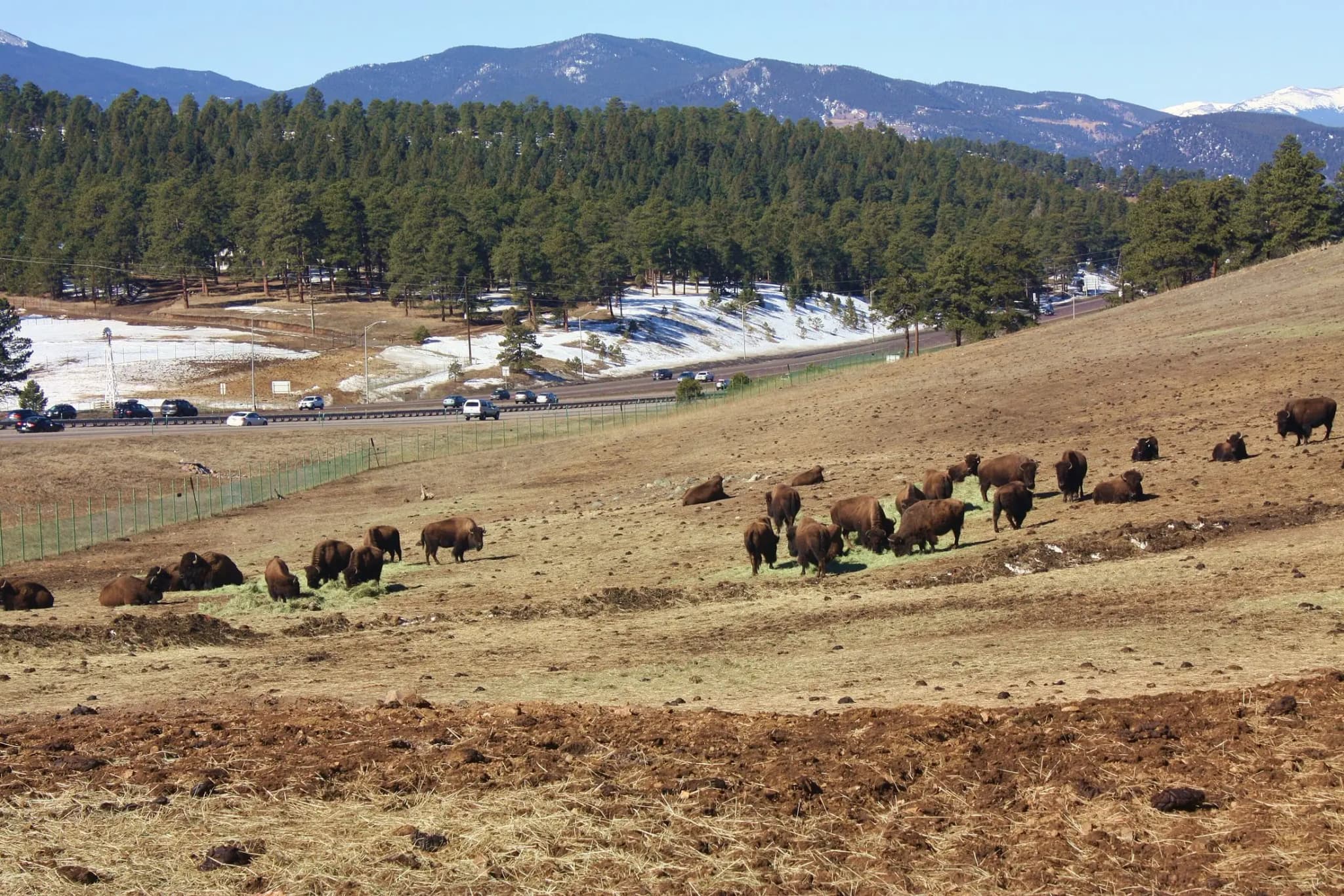 Genesee, Colorado