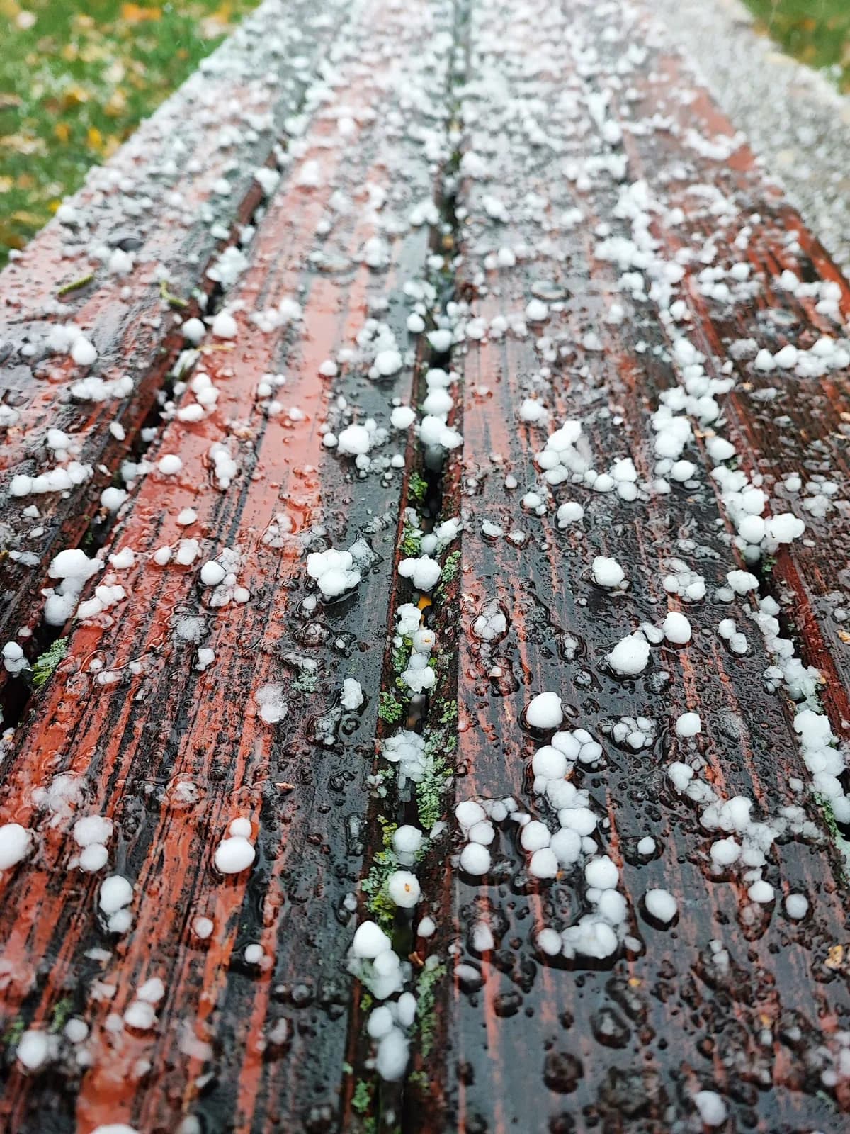 Hailstones scattered across a wet wooden surface after a hailstorm.